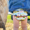 Smart Bottoms Dream Diaper 2.0