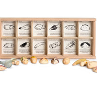 Grapat Wild Exploration Play Set