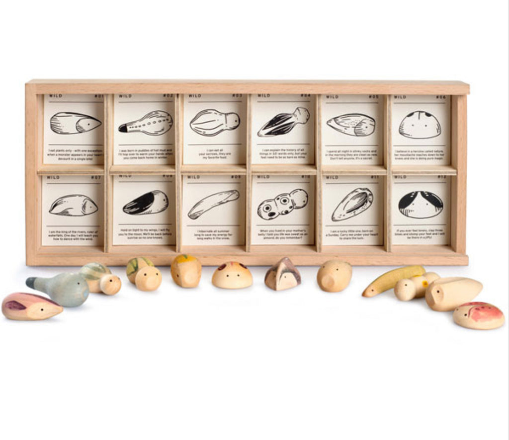 Grapat Wild Exploration Play Set