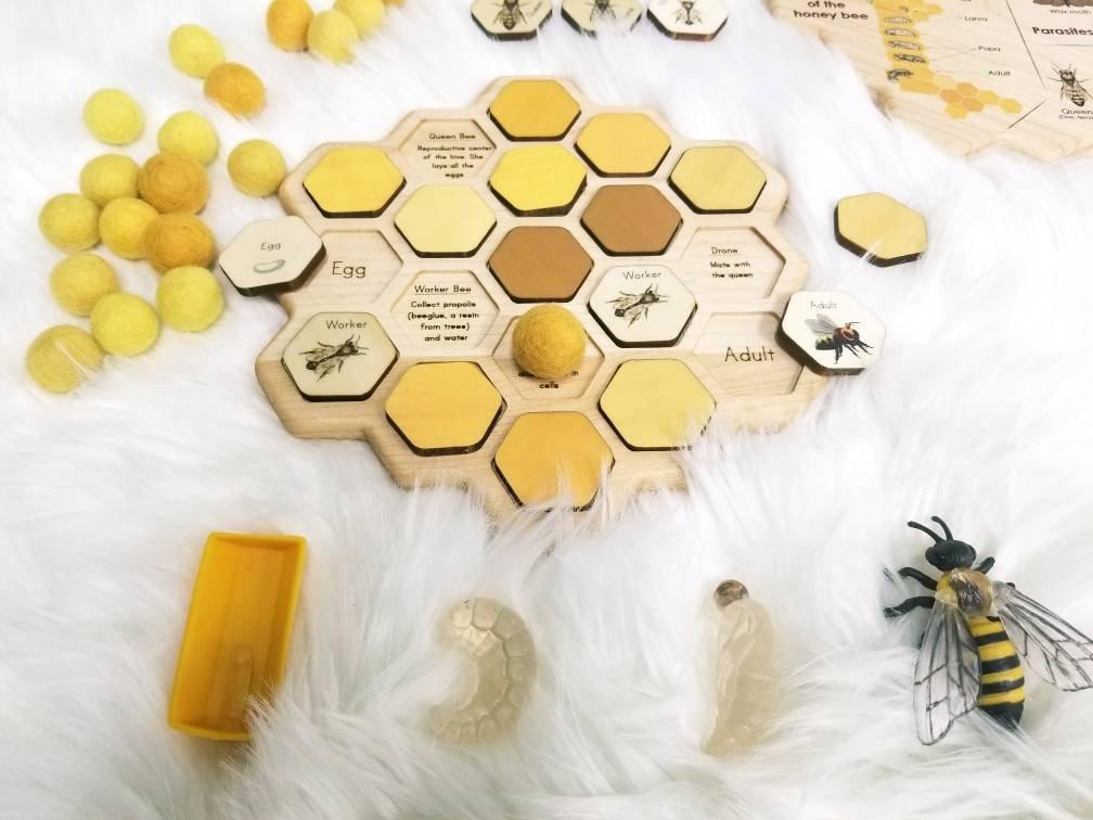 Mirus Toys Double sided Honey bee puzzle - honeycomb - bee life cycle - types of bees