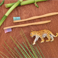 The Future is Bamboo - Bamboo Toothbrush