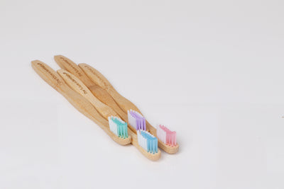 The Future is Bamboo - Bamboo Toothbrush